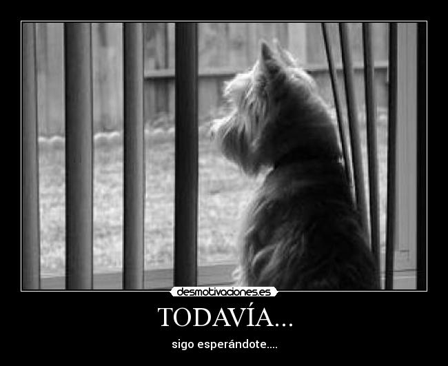 TODAVÍA... - 