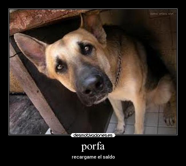 porfa -