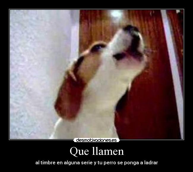 Que llamen - 