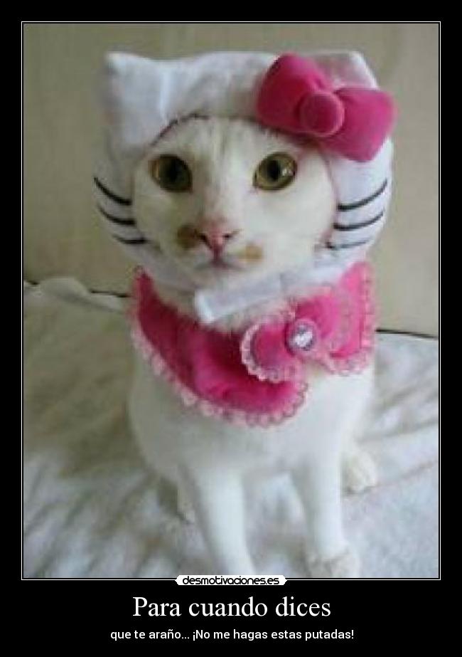Para cuando dices - que te araño... ¡No me hagas estas putadas!