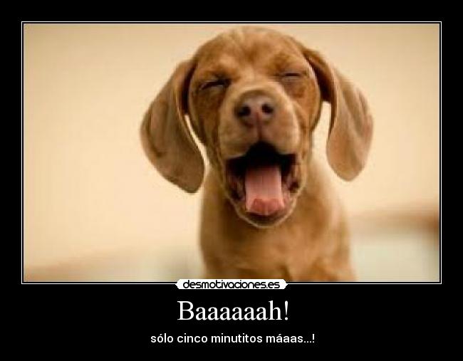 Baaaaaah! - sólo cinco minutitos máaas...!