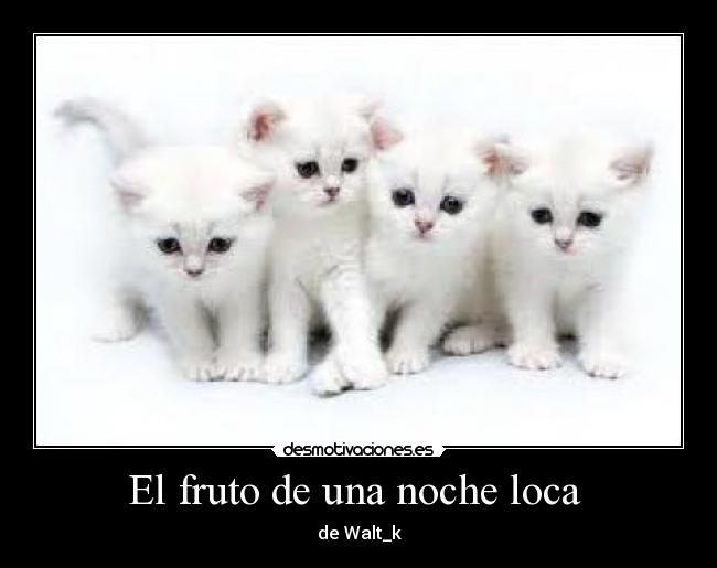 El fruto de una noche loca -