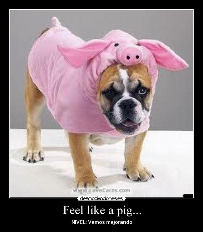 Feel like a pig... - NIVEL: Vamos mejorando