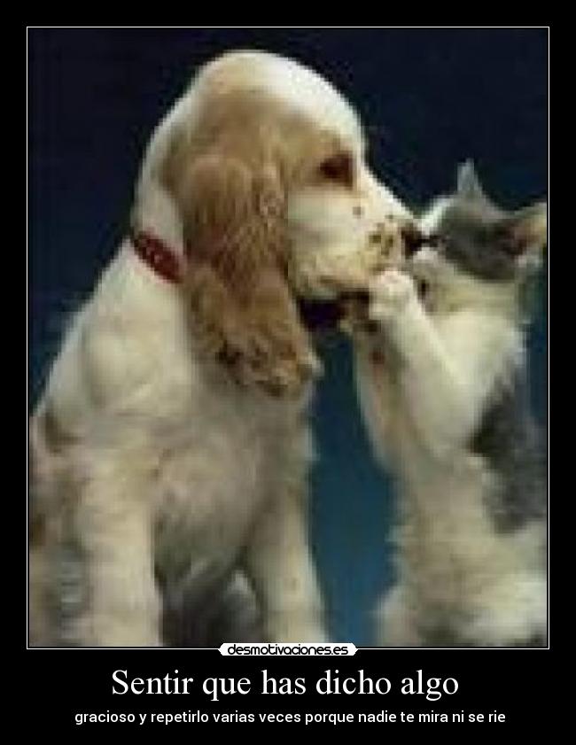 Sentir que has dicho algo - gracioso y repetirlo varias veces porque nadie te mira ni se rie