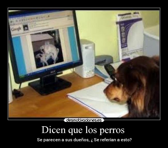 Dicen que los perros -