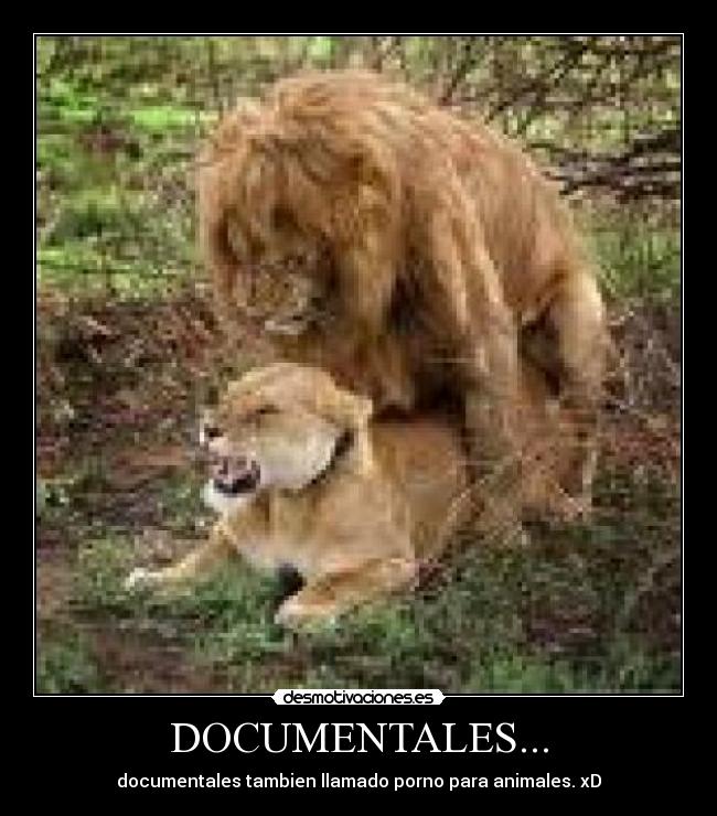 DOCUMENTALES... -