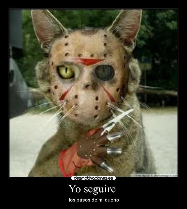 Yo seguire - los pasos de mi dueño