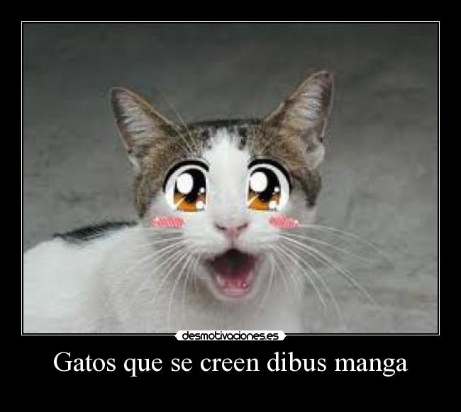 carteles gatos eva desmotivaciones