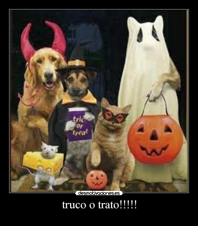 truco o trato!!!!! - 