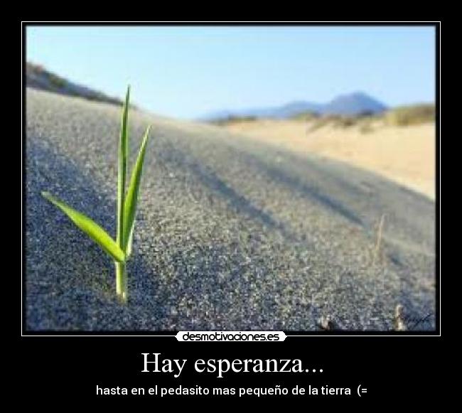 Hay esperanza... - hasta en el pedasito mas pequeño de la tierra  (=