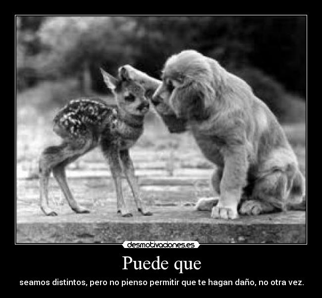 carteles puede que desmotivaciones