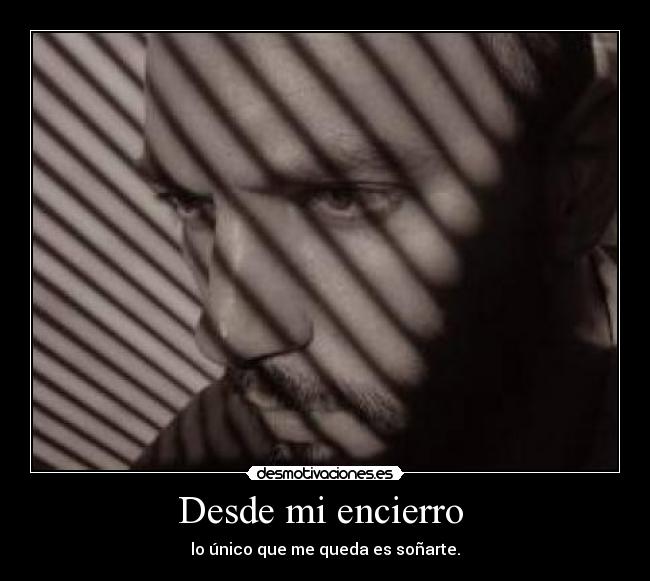 Desde mi encierro  - 