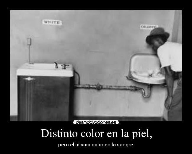 carteles adcads desmotivaciones