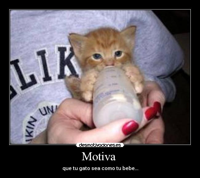 Motiva  - 