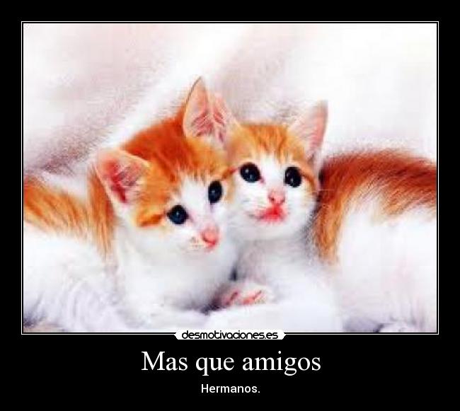 Mas que amigos - Hermanos.