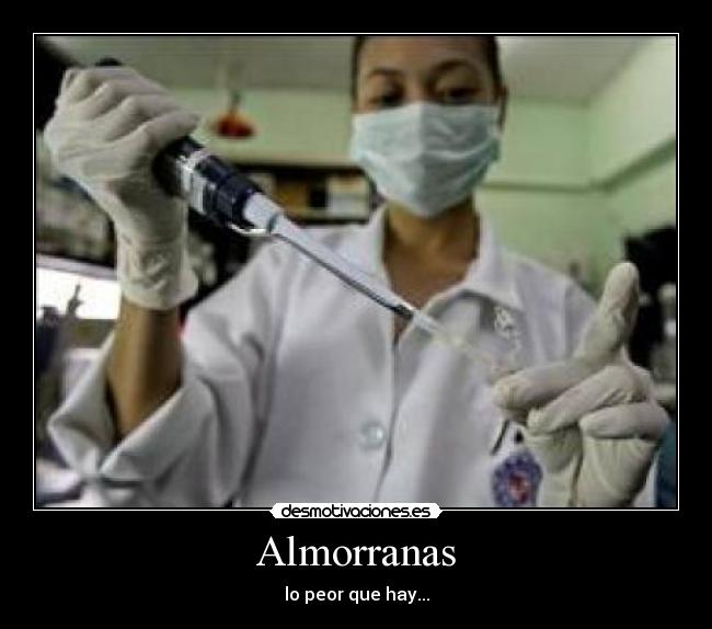Almorranas -