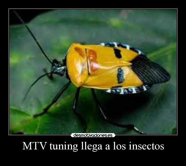 carteles giuseppemichele desmotivaciones