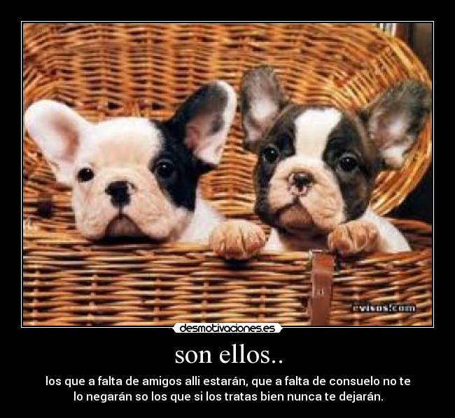 son ellos.. - los que a falta de amigos alli estarán, que a falta de consuelo no te
lo negarán so los que si los tratas bien nunca te dejarán.