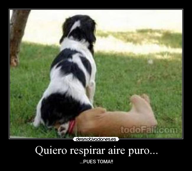 Quiero respirar aire puro... - ...PUES TOMA!!