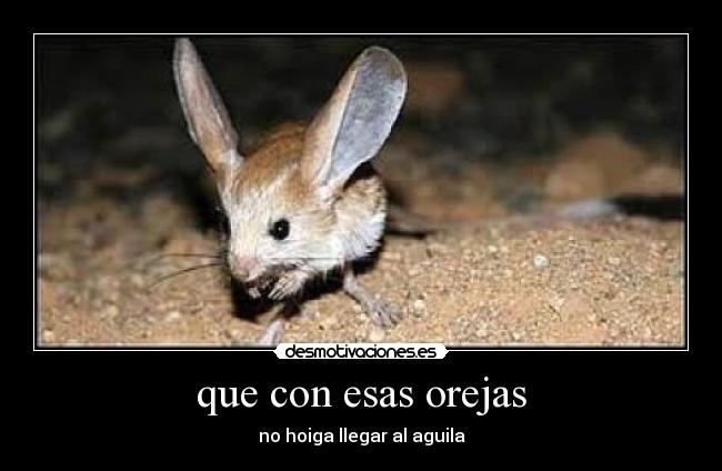 carteles desmotivaciones