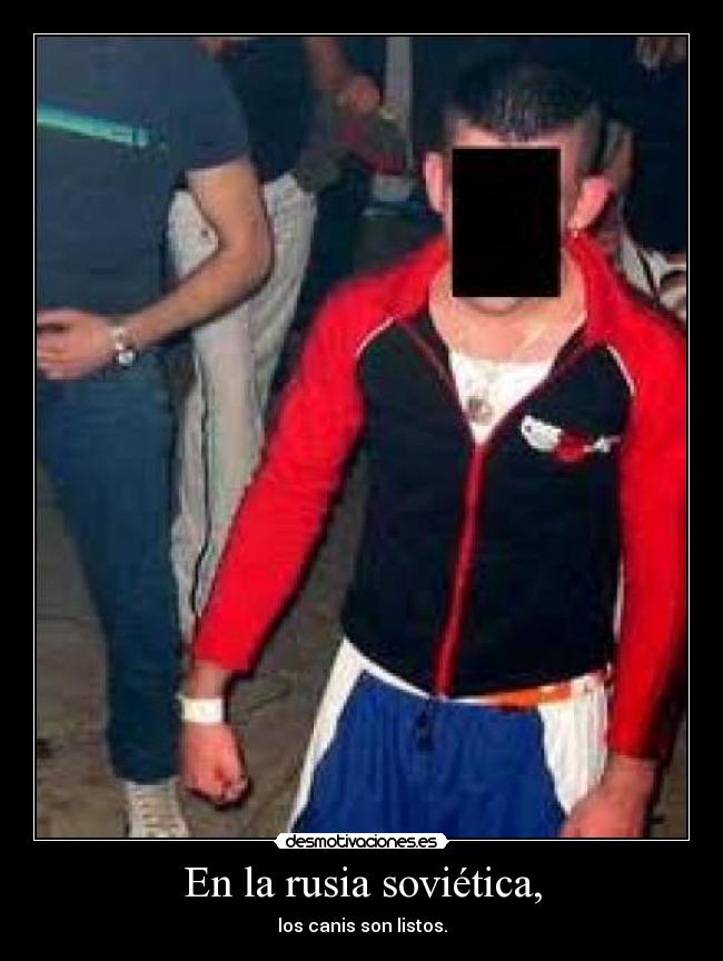 carteles cani desmotivaciones