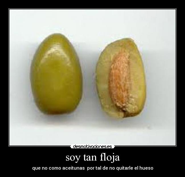 soy tan floja - que no como aceitunas por tal de no quitarle el hueso