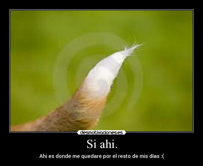 Si ahi. - Ahi es donde me quedare por el resto de mis días :(