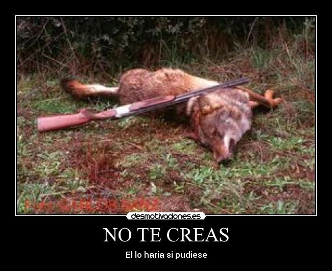 NO TE CREAS -