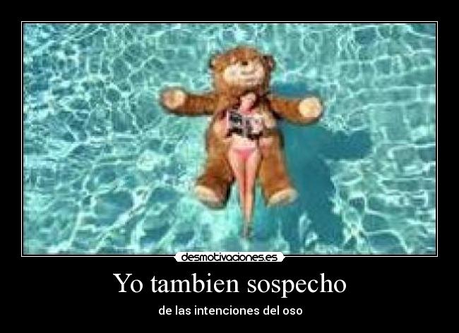 Yo tambien sospecho - de las intenciones del oso