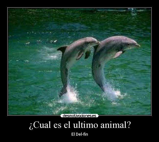 ¿Cual es el ultimo animal? - El Del-fin