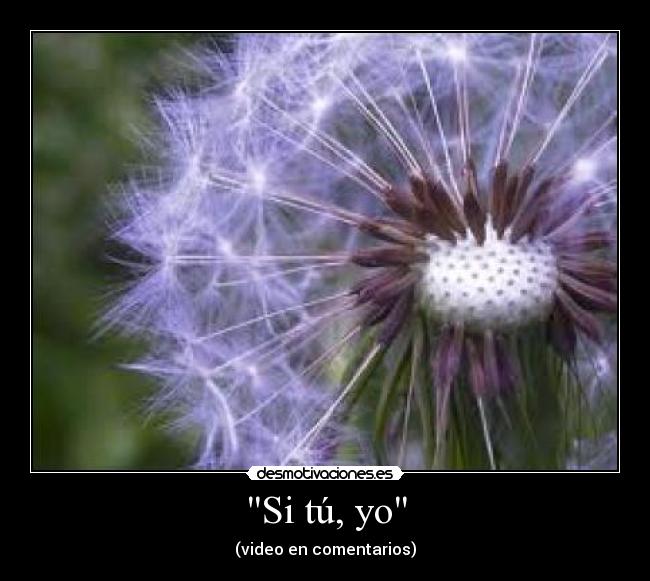 carteles desmotivaciones