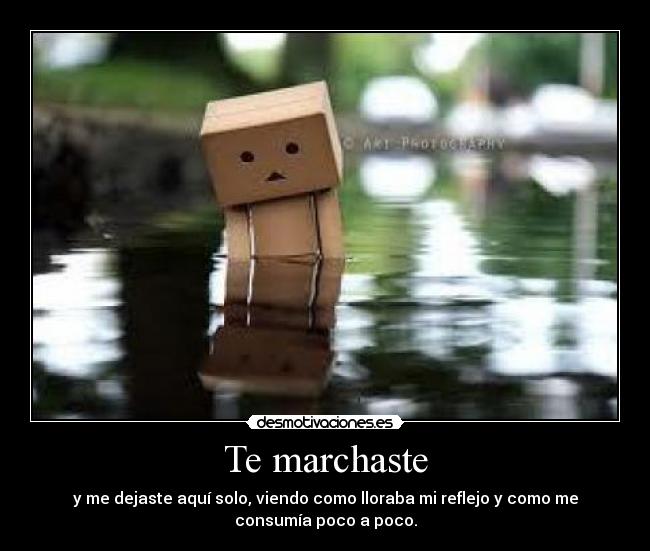 Te marchaste - y me dejaste aquí solo, viendo como lloraba mi reflejo y como me
consumía poco a poco.