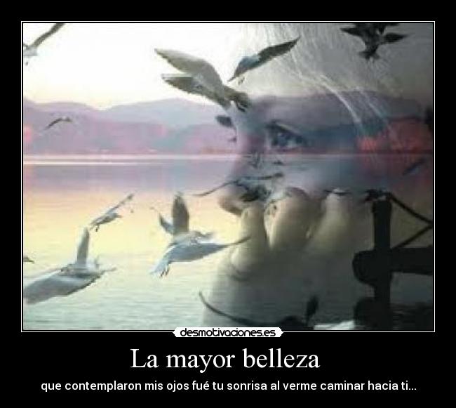 La mayor belleza  - que contemplaron mis ojos fué tu sonrisa al verme caminar hacia ti...