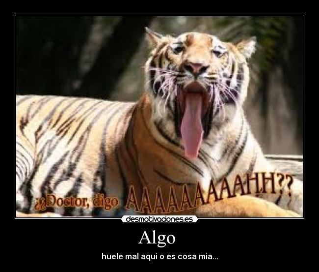 Algo - huele mal aqui o es cosa mia...