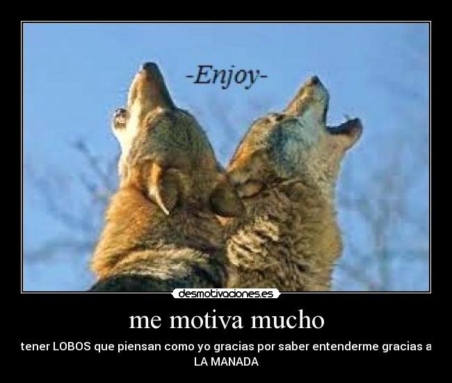 me motiva mucho - tener LOBOS que piensan como yo gracias por saber entenderme gracias a
LA MANADA