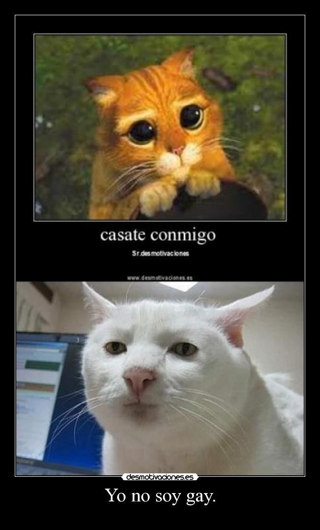 Yo no soy gay. -