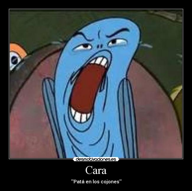 Cara - 