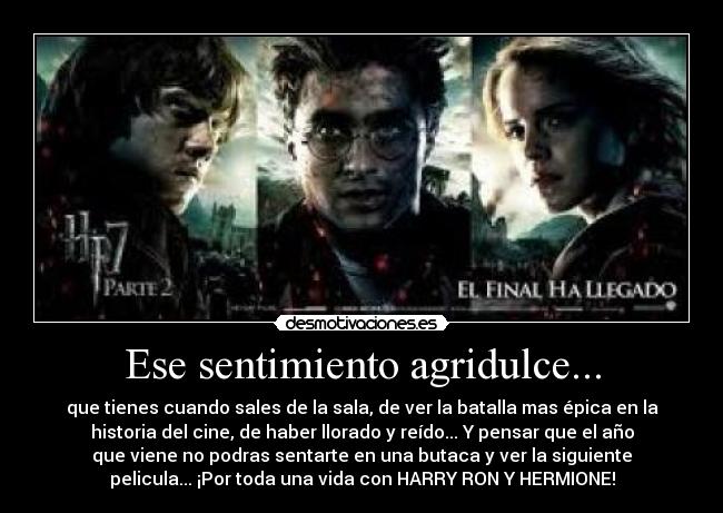 Ese sentimiento agridulce... - que tienes cuando sales de la sala, de ver la batalla mas épica en la
historia del cine, de haber llorado y reído... Y pensar que el año
que viene no podras sentarte en una butaca y ver la siguiente
pelicula... ¡Por toda una vida con HARRY RON Y HERMIONE!