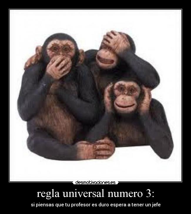 carteles regla universal desmotivaciones