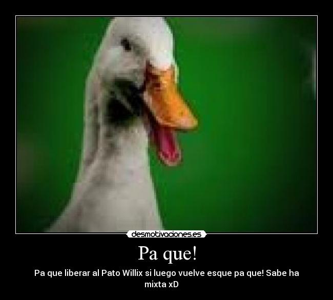 Pa que! - 