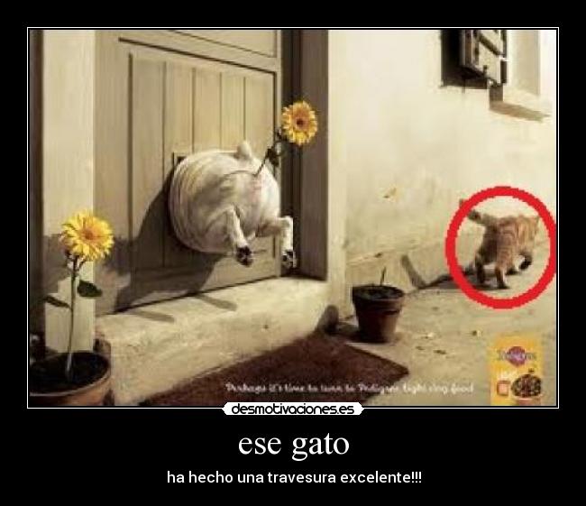 carteles carcasro desmotivaciones