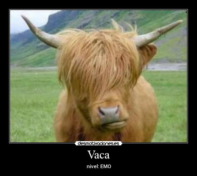 Vaca - nivel: EMO