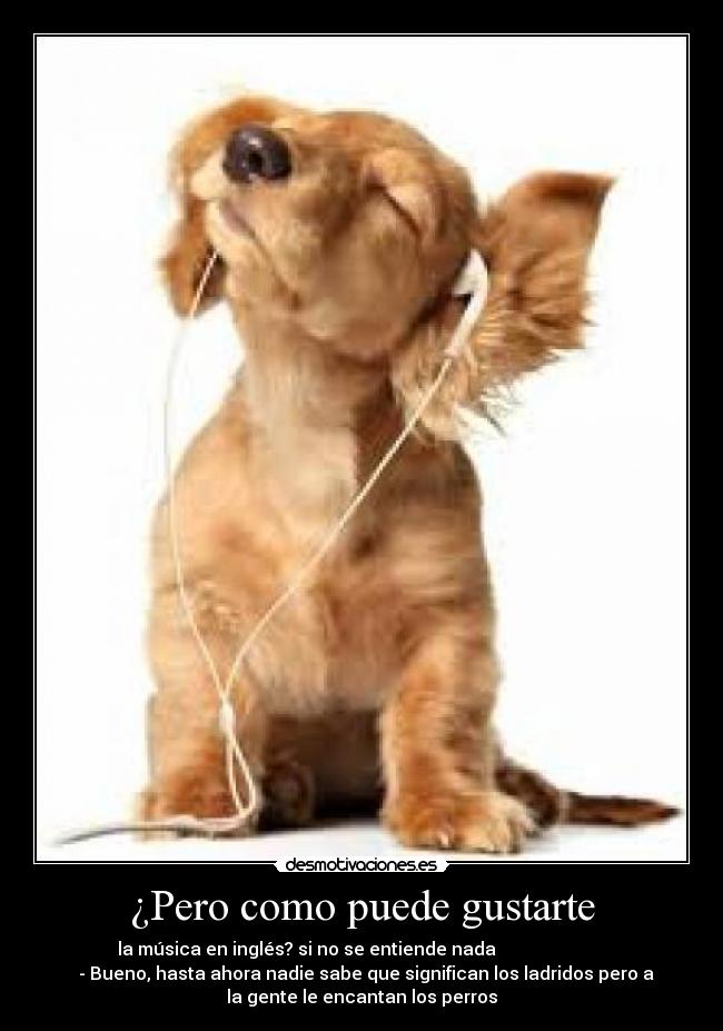 ¿Pero como puede gustarte - la música en inglés? si no se entiende nada
- Bueno, hasta ahora nadie sabe que significan los ladridos pero a
la gente le encantan los perros