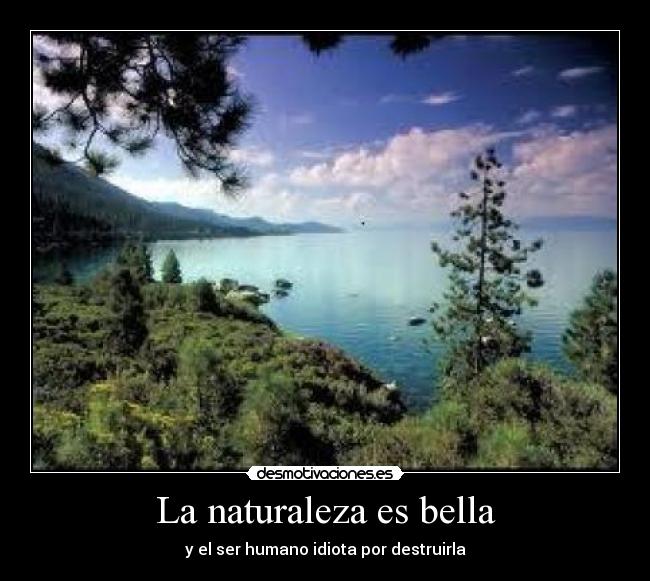 La naturaleza es bella - 