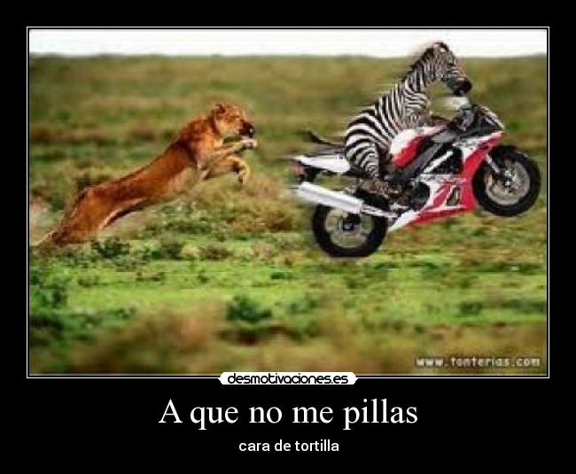 A que no me pillas - 