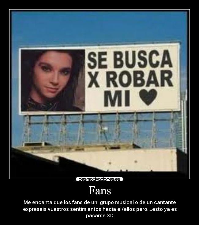 Fans - 