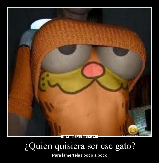 ¿Quien quisiera ser ese gato? - 
