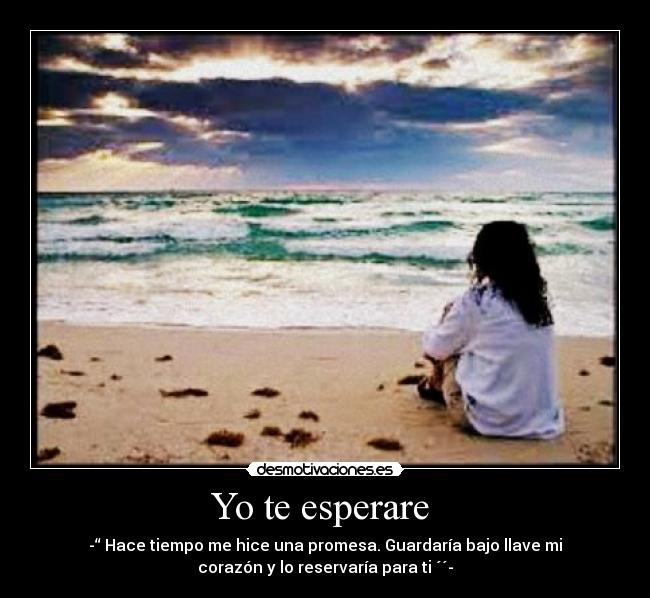 Yo te esperare -
