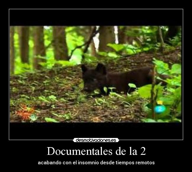 Documentales de la 2 -