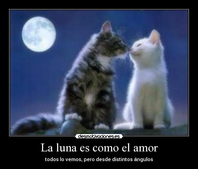 La luna es como el amor - 